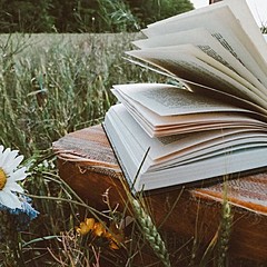 Книга на один раз