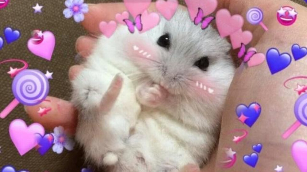 Ужастики👍