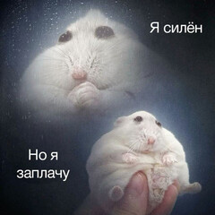 Рустеатр 4 семестр