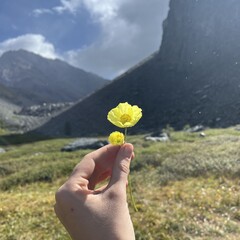 Ну зачем-то