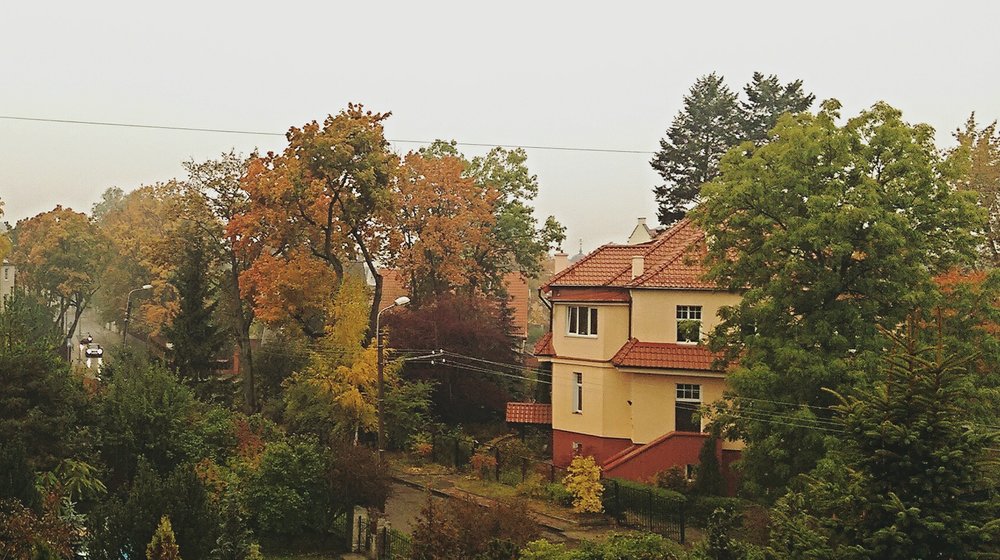 «МатеринствО»