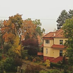 «МатеринствО»