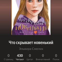 Мой первый роман