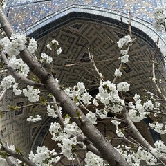 Современники 