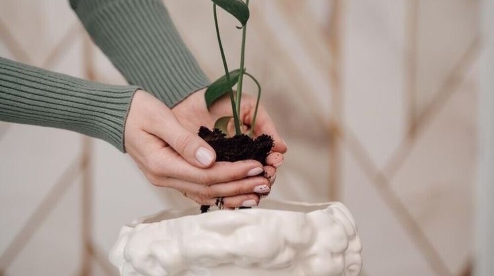 Психология