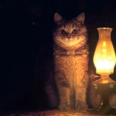 Теплое ламповое чтение