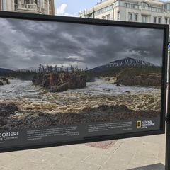 Системные расстановки