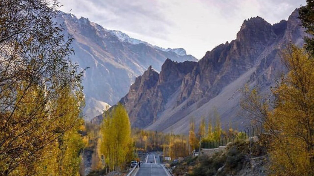 Саморазвитие