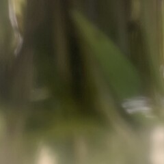 Музыкальный приворот 