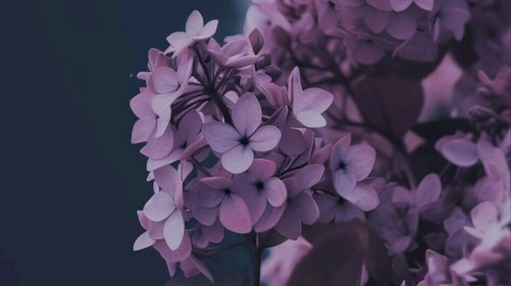 Фантастика и фэнтези