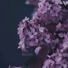 Фантастика и фэнтези