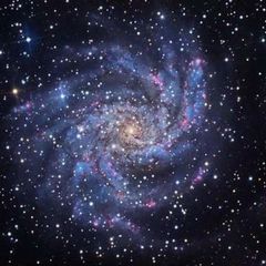 ИСТОЧНИКИ ВДОХНОВЕНИЯ 