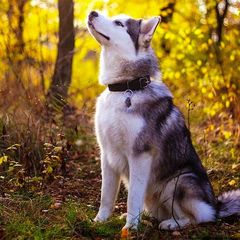 Теплый вечер у камина