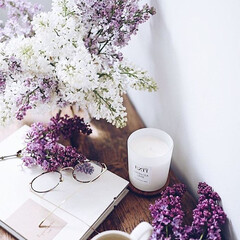 Теплые истории для весны🍃🌿☀️