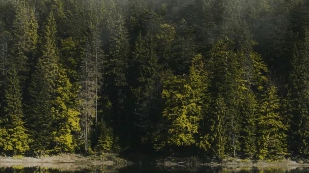 Вход с не той стороны. 