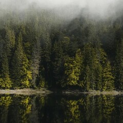 Вход с не той стороны. 