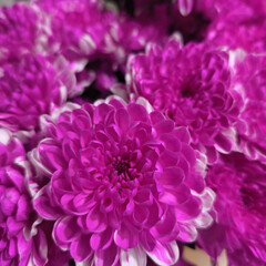 Книга делает человека-человеком..