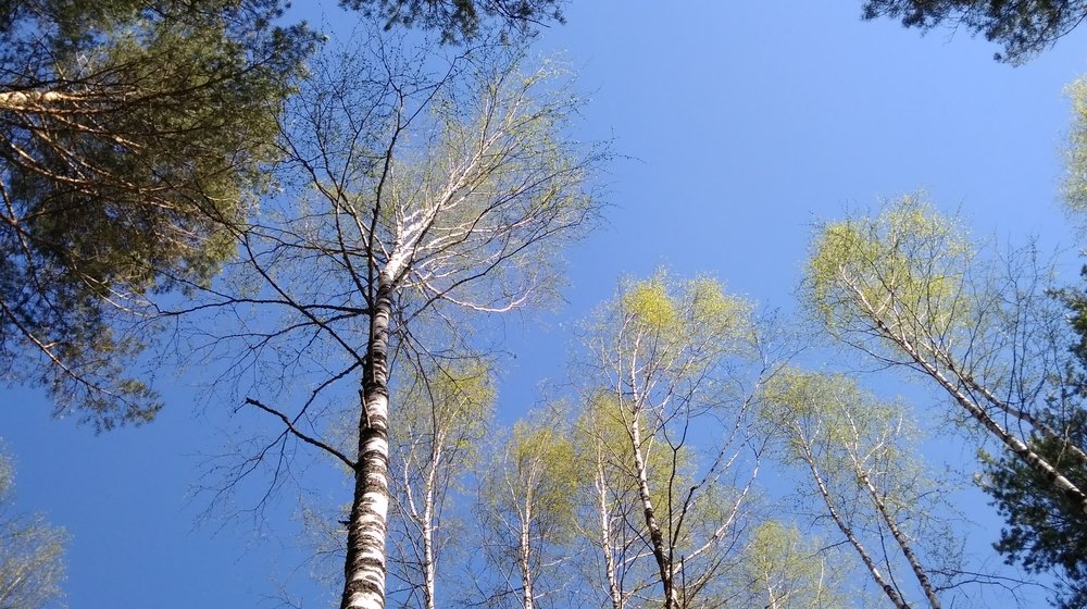 Продвижение и Реклама