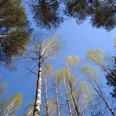 Продвижение и Реклама