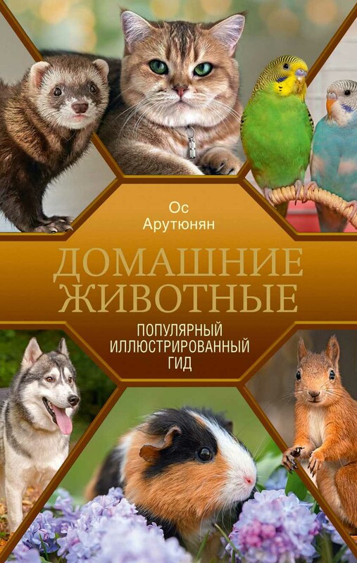 Домашние животные. Популярный иллюстрированный гид