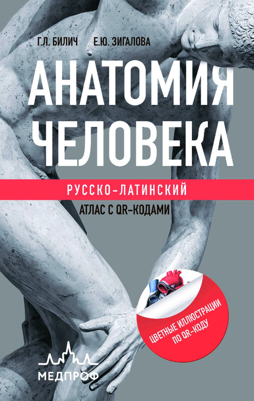 Анатомия человека: Русско-латинский атлас с QR-кодами, Габриэль Билич, Елена Зигалова