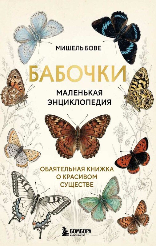 Бабочки! Маленькая энциклопедия. Обаятельная книжка о красивом существе