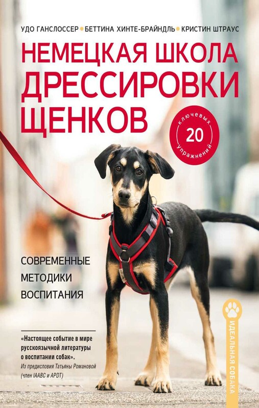 Немецкая школа дрессировки щенков. Современные методики воспитания