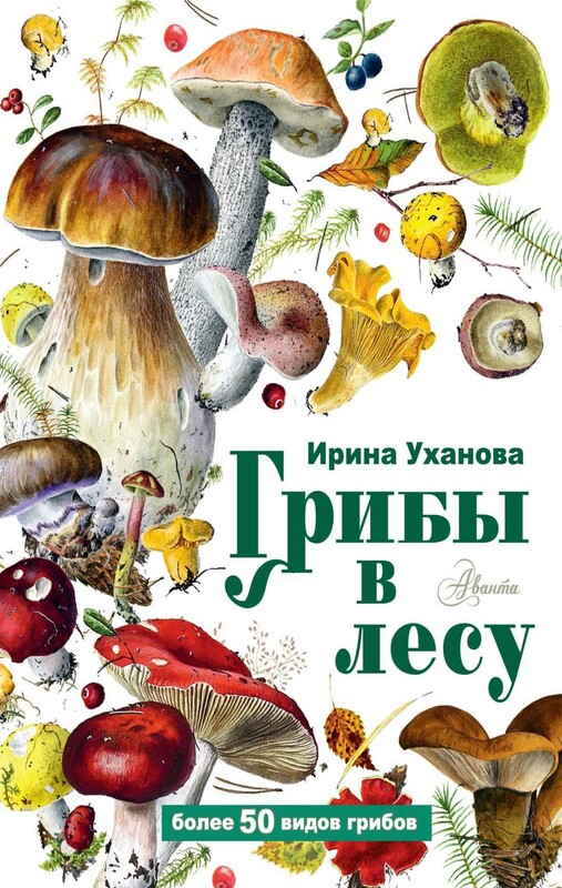 Грибы в лесу