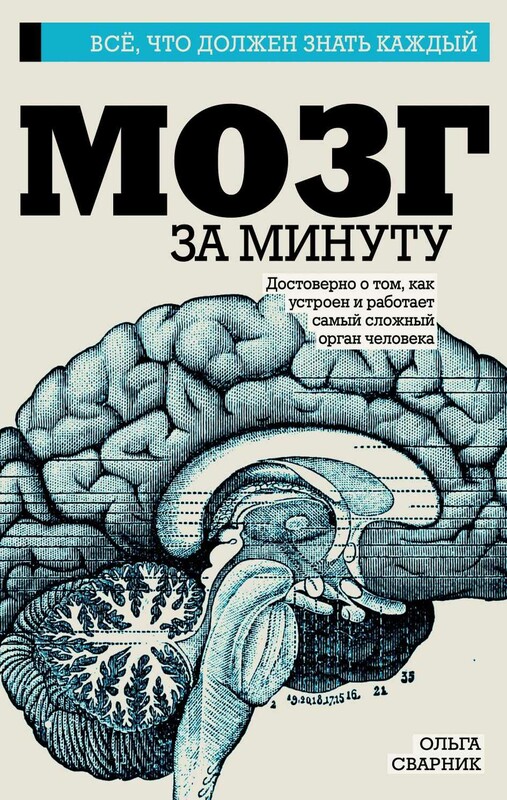 Мозг за минуту