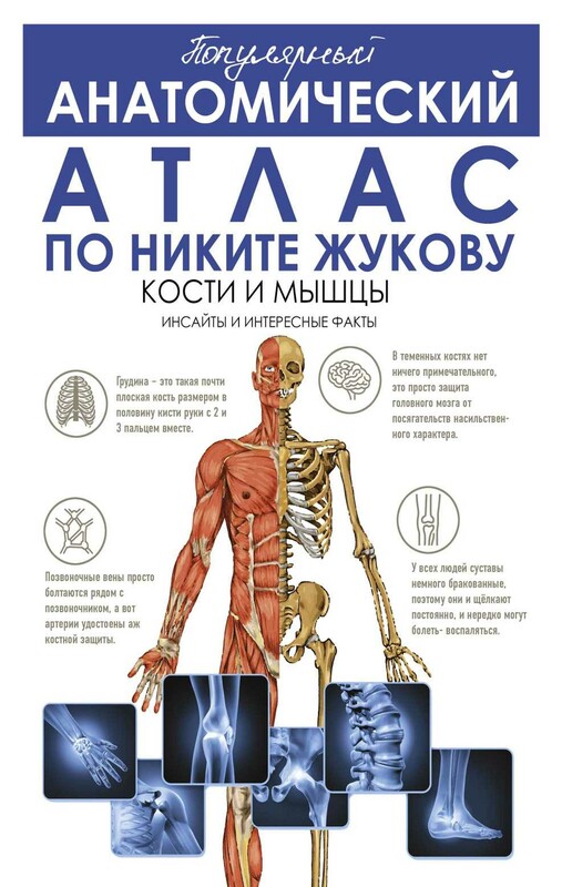 Популярный анатомический атлас по Никите Жукову: кости и мышцы. Инсайты и интересные факты