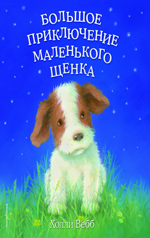Большое приключение маленького щенка, Холли Вебб