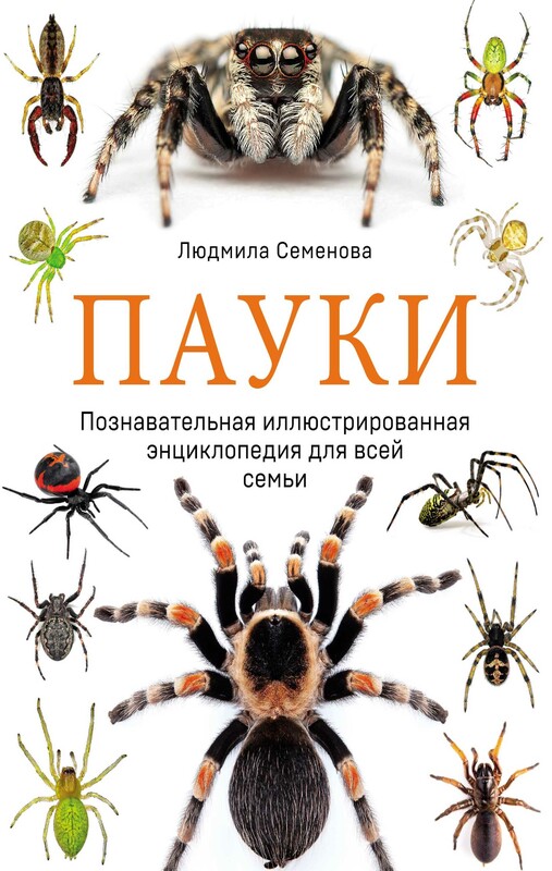 Пауки. Познавательная иллюстрированная энциклопедия для всей семьи