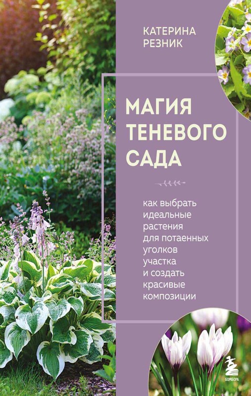 Магия теневого сада. Как выбрать идеальные растения для потаенных уголков участка и создать красивые композиции