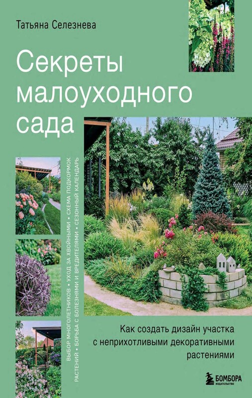 Секреты малоуходного сада. Как создать дизайн участка с неприхотливыми декоративными растениями