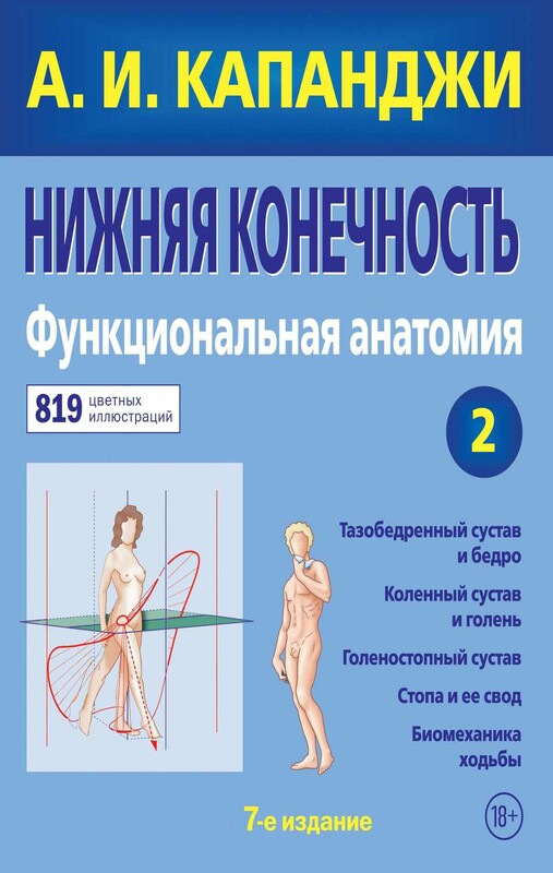 Нижняя конечность: Функциональная анатомия (обновленное издание)