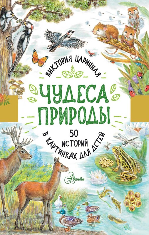 Чудеса природы. 50 историй в картинках для детей