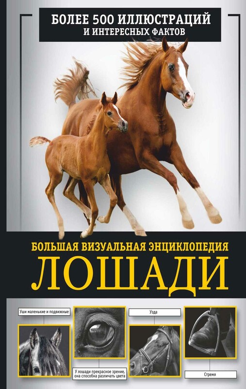 Лошади. Большая визуальная энциклопедия