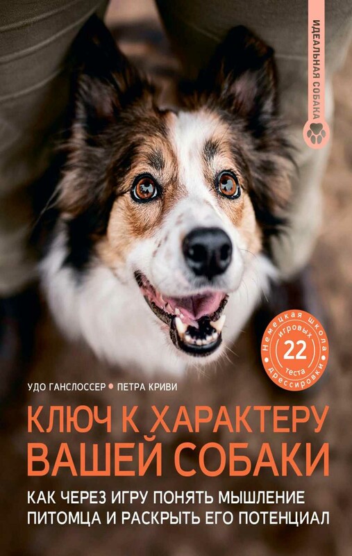 Ключ к характеру вашей собаки. Как через игру понять мышление питомца и раскрыть его потенциал