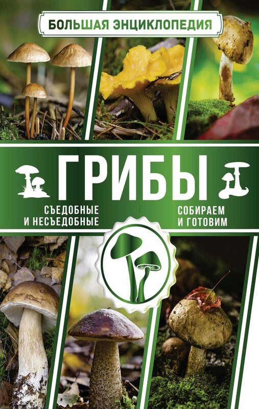 Большая энциклопедия. Грибы. Съедобные и несъедобные. Собираем и готовим.