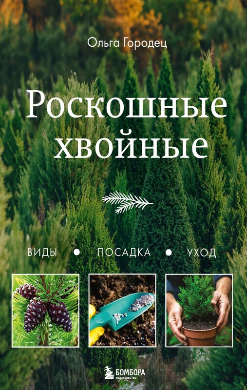 Красивые хвойные для вашего сада, Ольга Городец