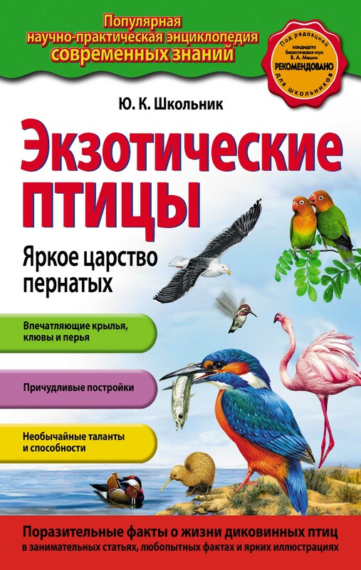 Экзотические птицы. Яркое царство пернатых