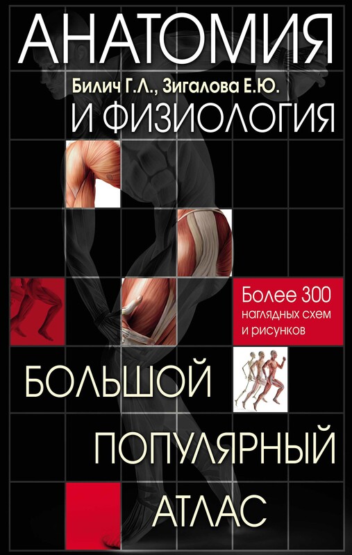 Анатомия и физиология. Большой популярный атлас, Габриэль Билич, Елена Зигалова