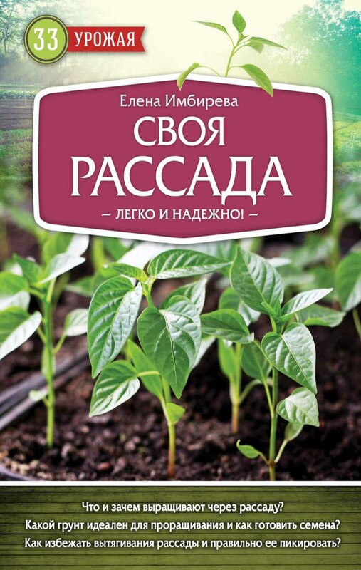 Рассада. Выращиваем сами