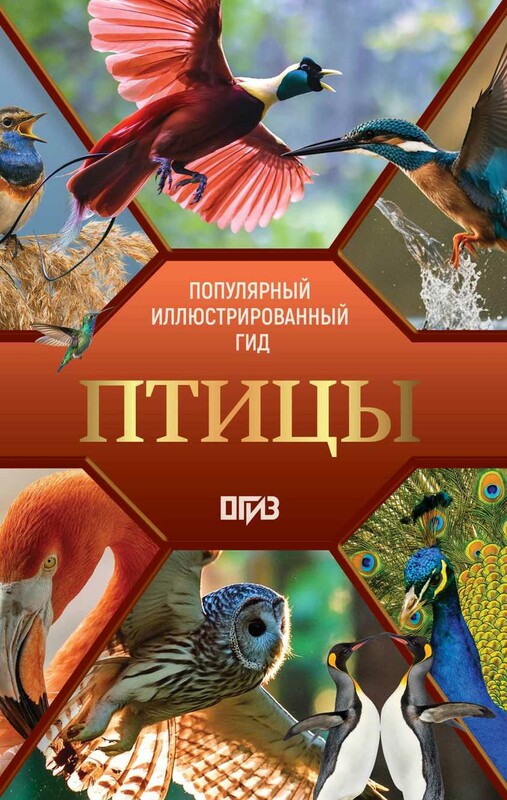 Птицы. Иллюстрированный гид