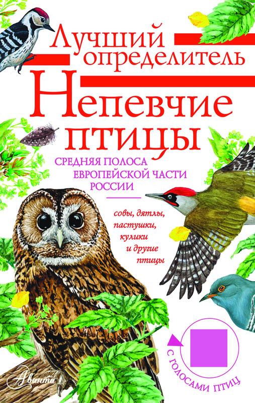 Непевчие птицы. Средняя полоса европейской части России. Определитель с голосами птиц