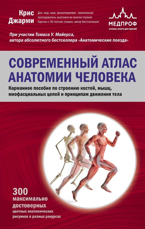 Современный атлас анатомии человека. Карманное пособие по строению костей, мышц, миофасциальных цепей и принципам движения тела, Крис Джарми