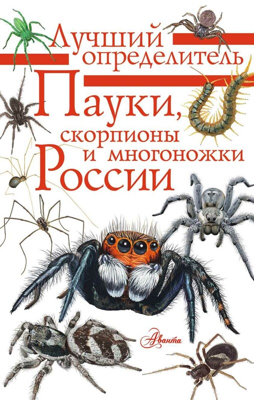 Пауки, скорпионы и многоножки России
