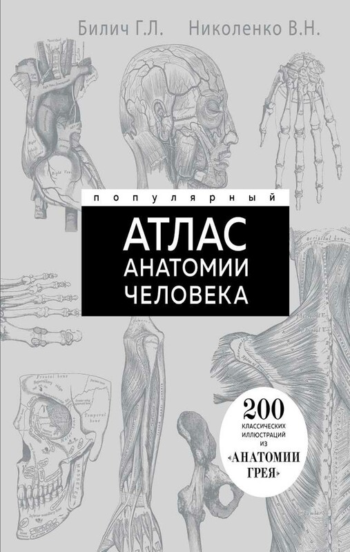 Популярный атлас анатомии человека. 200 классических иллюстраций из «Анатомии Грея»