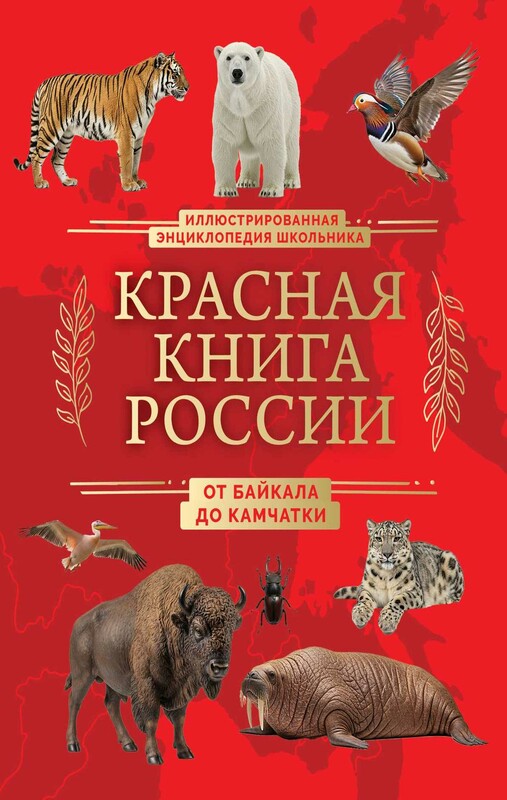 Красная книга России. От Байкала до Камчатки. Иллюстрированная энциклопедия школьника