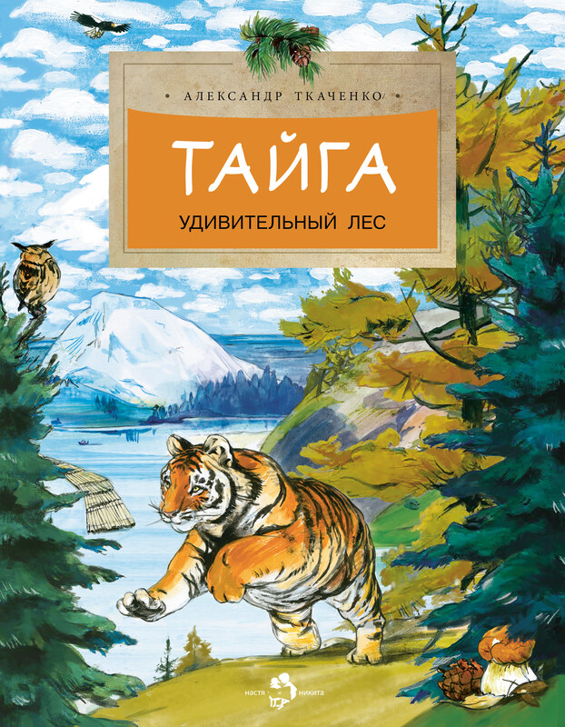Тайга. Удивительный лес